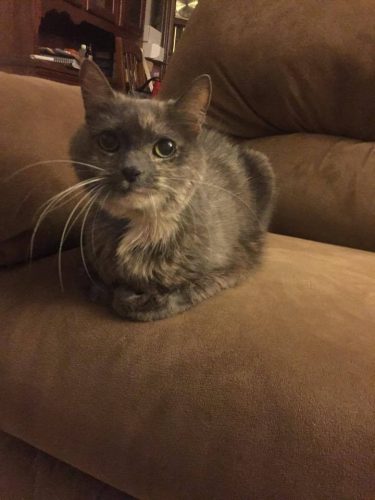 Lena – rest in peace
