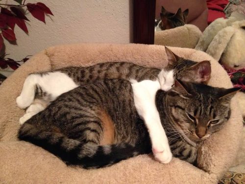 Kenny & Jenny – Long Term Care