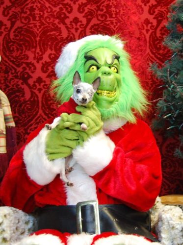 Macci – Long Term Care