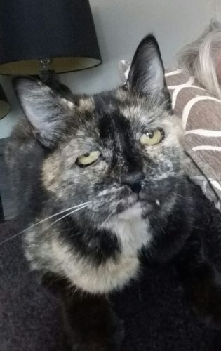 Molly – In long Term Care