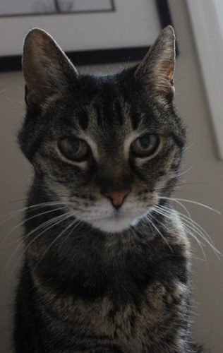 Belle – Long term Care