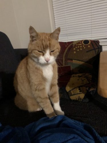 Bogey – courtesy posts