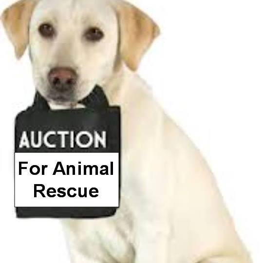 ONLINE Auction Every Month!