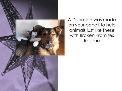 Make a Donation in Someone’s Name for the Holidays !