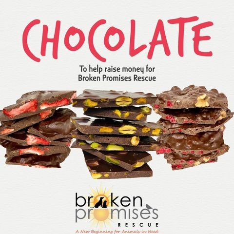 Cocoa Love Chocolate Fundraiser