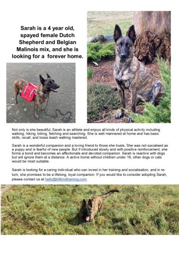 Sarah – Courtesy Post