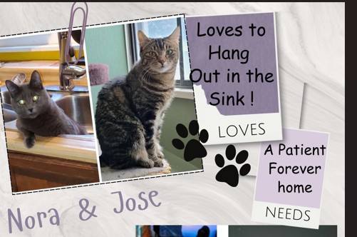 Nora and (Jose – Jose is adopted)