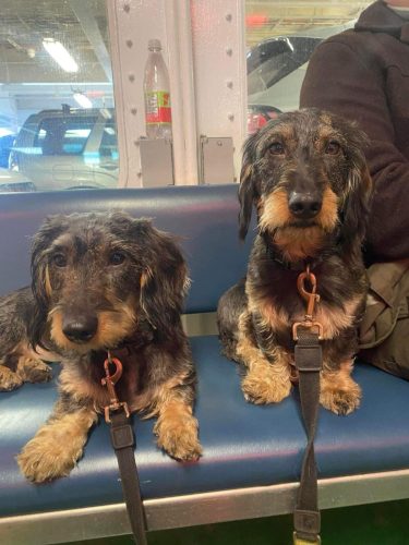 Clark and Francis – bonded pair