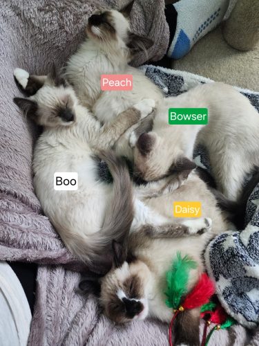 Peach, Boo, Bowser and Daisy