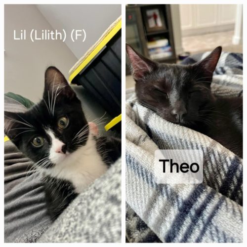 Lilith and Theo