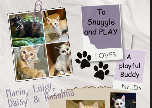 Mario, Luigi, Daisy and Rosalina