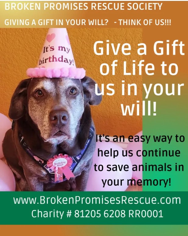 Give a Gift in your Will