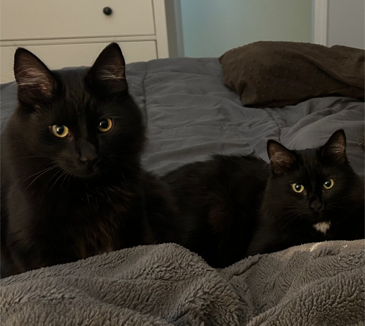 River, Otter & Jordan