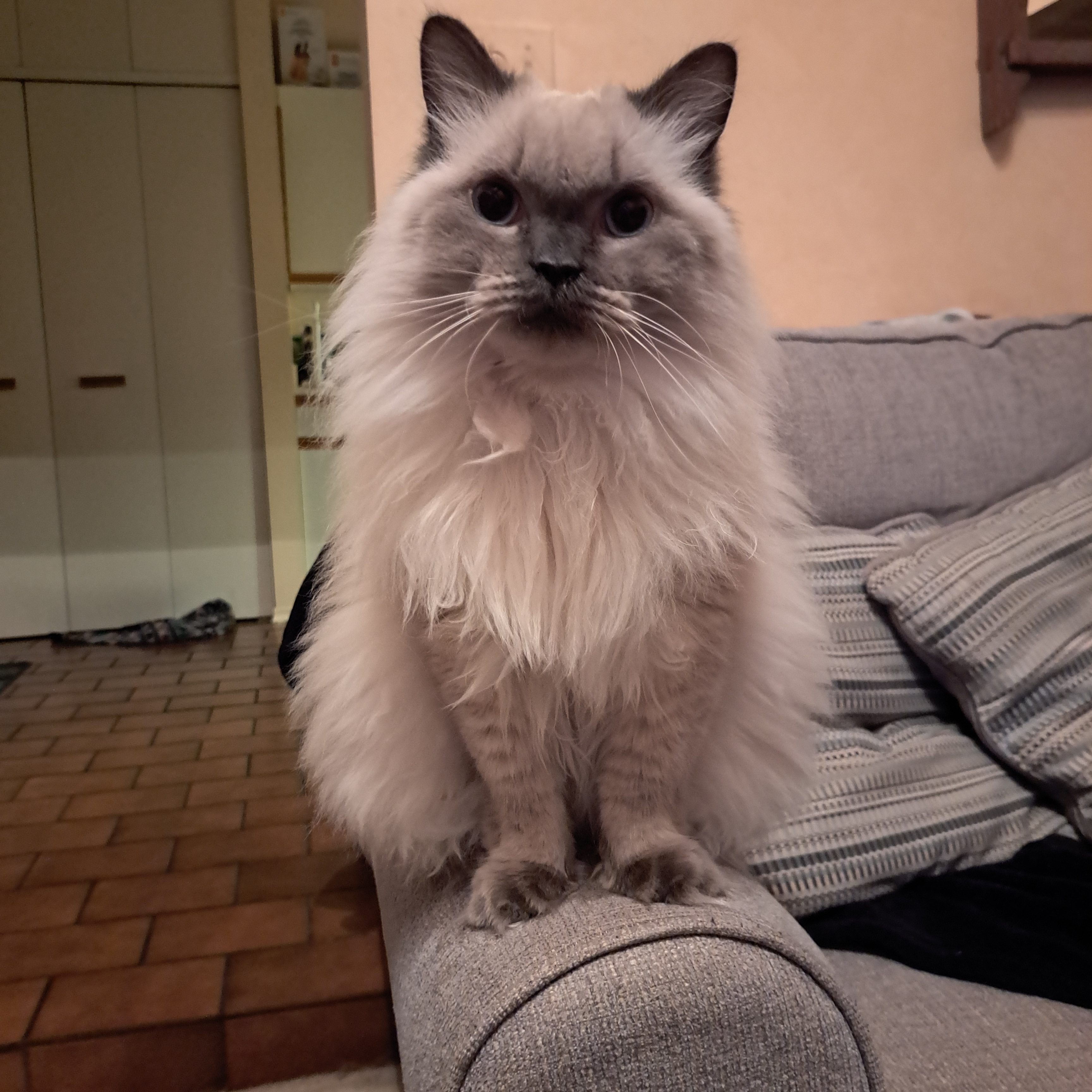 Sky Blue – Coming Soon