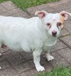 Sally